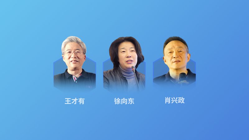 艾草药浴市场乱象背后，消费者如何看清真实格局